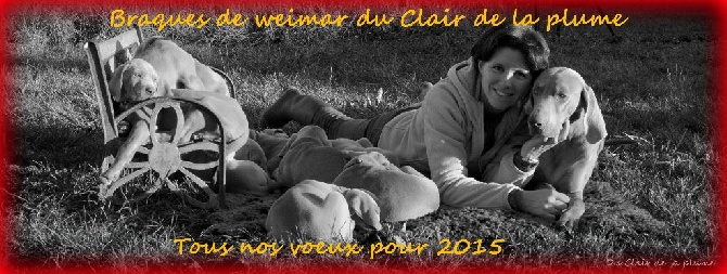 Du Clair De La Plume - Tous nos voeux pour 2015