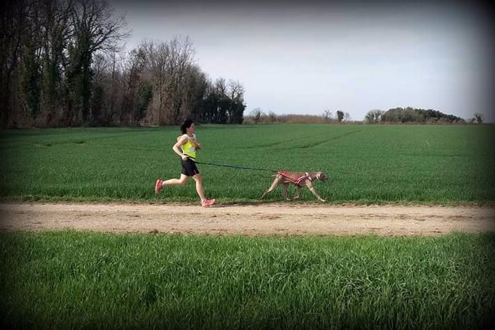 Canicross Doeuil sur le Mignon